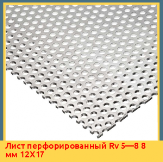 Лист перфорированный Rv 5—8 08X18H10
