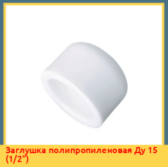 Заглушка полипропиленовая Ду 25 (1")